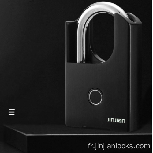 Padeau anti-vol Biométrique BLT Empreinte Smart Door Lock